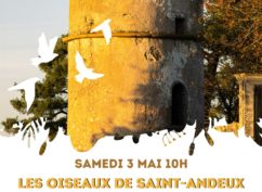 Sortie nature « Découverte des oiseaux de Saint-Andeux »