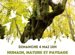 Sortie nature « Humains, paysages et biodiversité »