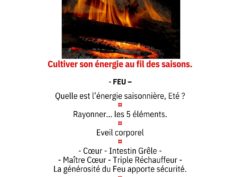 Atelier SHIATSU « Cultiver son énergie au fil des saisons. »