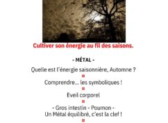 Atelier SHIATSU « Cultiver son énergie au fil des saisons. »