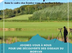 Balade ornithologique