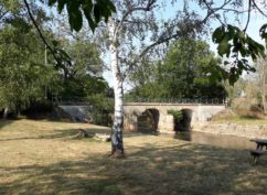Visite guidée : Entre canal et forêt de Vincence, à Biches