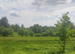 Balade botanique « Flore des prairies et son intérêt pour l’élevage »