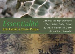 Exposition artistique Essentialité / Olivier Picque et Julie Laforêt