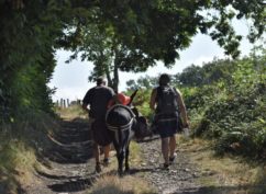 Bibracte fête la nature