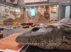 Les Joyaux du Muséum (visite guidée – Journées Européennes du patrimoine)