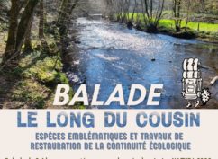 Balade « Le long du chemin bleu »