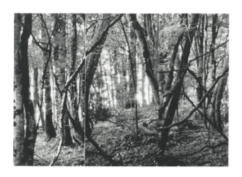Vernissage de l’exposition de Martin Maris