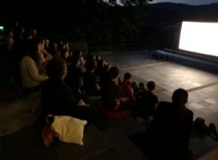 La nuit du film d’archéologie à Bibracte