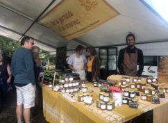 Bibracte fête les 30 ans du musée