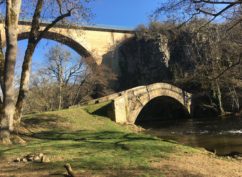 Balade « Le long de la Cure entre rivière, forêt et bocage »