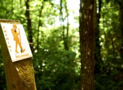 La boucle du Bois de Brenil