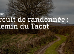 Balade du Tacot à la Voie Romaine