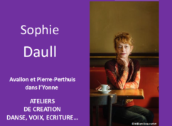 Stage estival pluridisciplinaire