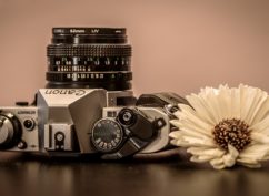 Labo photo végétal – Atelier 4-6 ans