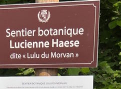 À la découverte du sentier botanique « Lulu du Morvan » (Journées Européennes du Patrimoine)