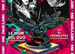 LE NOM DEL DUO (électronirique) / DJ FRENDLEYKS (techno artisanale)