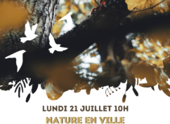 Sortie « Nature en Ville »