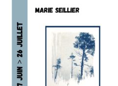 A fleur d’eau – Marie Seillier