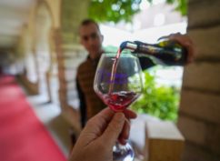 Vignobles en scène – Les Côtes du Couchois