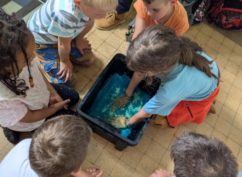 Mains magiques, l’atelier des 6-11 ans