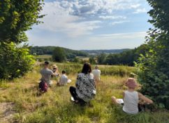 Balade « Hommes, Arbres et Paysages »