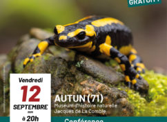 Conférence « Salamandre, Tritons et Cie »