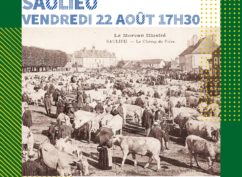 Visite guidée Saulieu – Pays d’Art et d’Histoire Auxois-Morvan