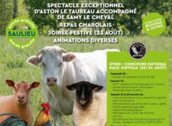 Fête du Charolais