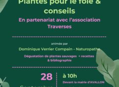 Bientôt l’Automne, plantes pour le foie à découvrir & conseils