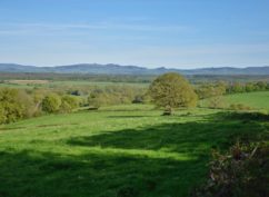 Vidéo-projection « Les 4 saisons dans le Morvan »