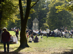 Fantastic Picnic à Bibracte
