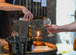 Vignobles en scène – les vins du Couchois