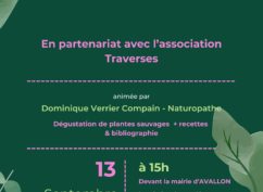 Découverte des plantes du sommeil
