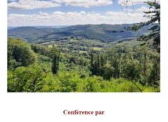 La foret Morvandelle – entre passé et futur
