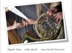 Voyage Musical Trio Sonans