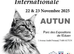Exposition Féline Internationale d’Autun