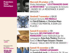 Des pintades et des manguiers