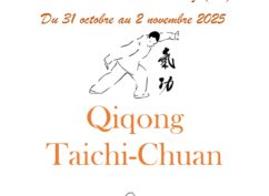 STAGE DE QIQONG et TAICHI CHUAN
