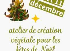 Atelier de création végétale pour les fêtes de Noël