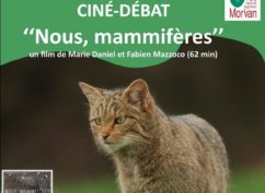 CINÉ-DÉBAT ‘‘Nous, mammifères’’ – le vendredi 14 novembre 2025 à Montillot (89)