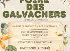 FOIRE DES GALVACHERS