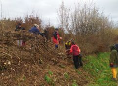 Le Mois de la Plèchie – Roussillon-en-Morvan
