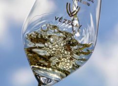 Visite – dégustation à Vézelay