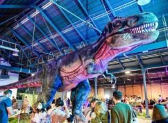 L&rsquo;univers des Dinosaures