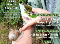 STAGE NATURE Interroger sa relation au Vivant