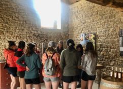 Visite guidée et dégustation de vins de Vézelay