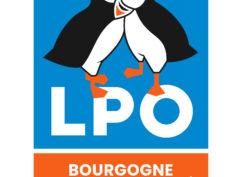 Enquête nocturne « zone blanche » à Saint-Didier