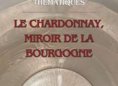 Dégustation thématique : Le Chardonnay, miroir de la Bourgogne