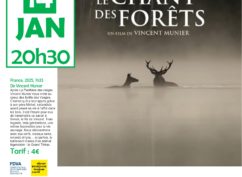 Mercredi du Doc : « LE CHANT DES FORETS »